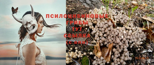 соль курить ск Нефтекумск
