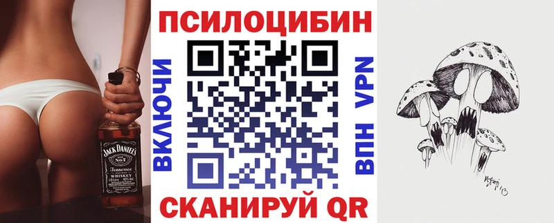 закладка  Новосиль  Галлюциногенные грибы Cubensis 