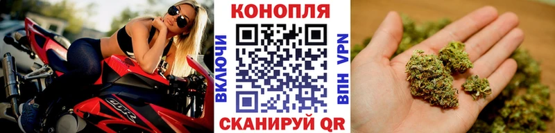 купить наркотики сайты  Новосиль  МАРИХУАНА сатива 
